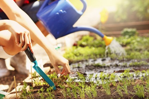 Landscapers Thamesmead working on a garden design project