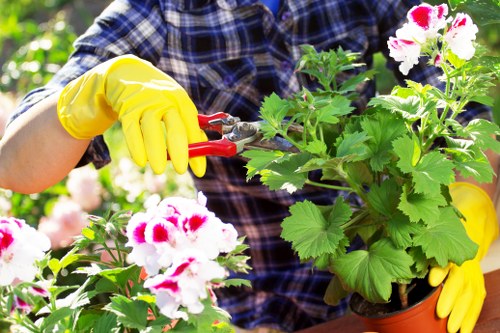 Planting service creating a tidy garden border in Thamesmead