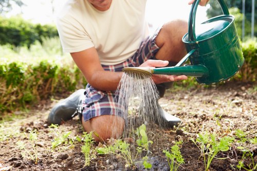 Landscape gardening service for a Thamesmead residential garden