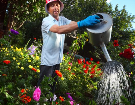 Accessibility support for Landscapers Thamesmead website