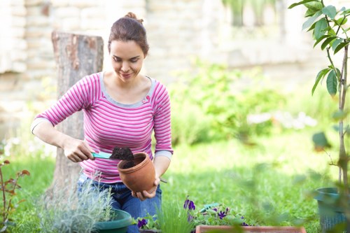 Professional landscaping for residential and commercial properties in Thamesmead