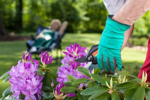 Screen-reader friendly Thamesmead landscaping content