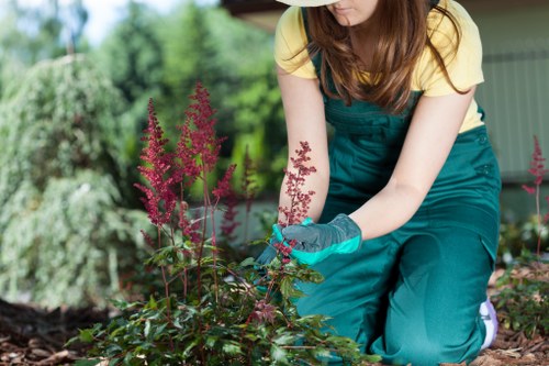 Annual review of modern slavery controls in landscaping