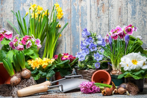Professional landscape gardening for homes and commercial sites in Thamesmead